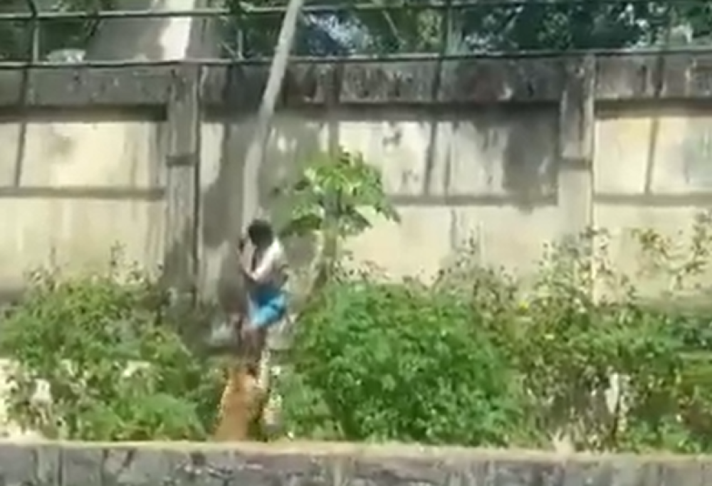 Homem morre após invadir recinto de leoa em João Pessoa; parque é fechado