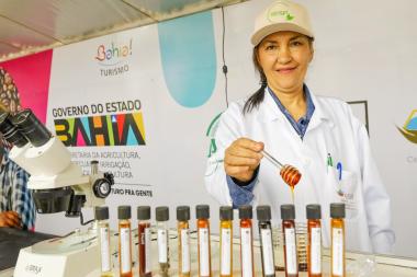 Seagri leva concurso de qualidade do mel para a Fenagro 2025 | SECOM