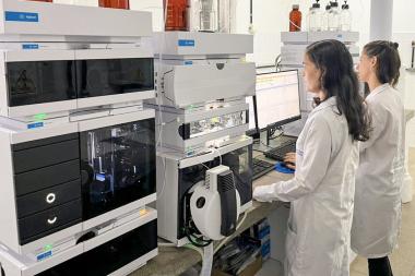 Pesquisadora do Cetab é premiada por estudo sobre abelhas sem ferrão publicado em revista internacional