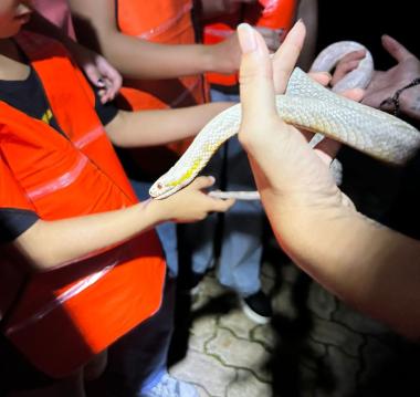 Inscrições para o Zoo noturno serão abertas neste fim de semana | SECOM