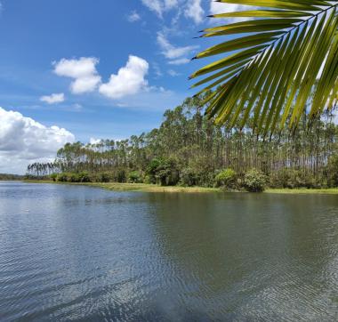 Sema apoia edital do CAMP Viva Água e reforça divulgação de oportunidades para segurança hídrica na Bahia | SECOM