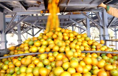 Bahia segue entre os dez maiores produtores brasileiros de grãos em 2026