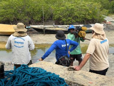 Inema intensifica ações no defeso do caranguejo-uçá e solta mais de 5,7 mil animais | SECOM