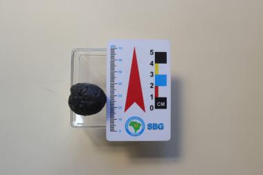 Aos 51 anos, Museu Geológico passa a exibir primeiros tectitos identificados no Brasil | SECOM