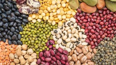 Dia da Agricultura: Bahia avança com produção recorde e aposta em modelo sustentável para 2026