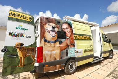 Governo da Bahia entrega unidade de Castramóvel para fortalecer controle populacional de cães no semiárido