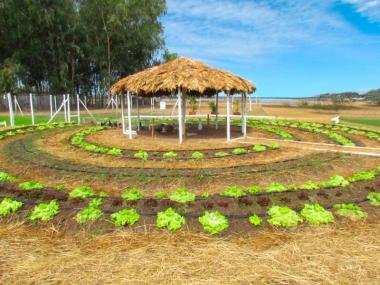Prêmio Inova Agro vai reconhecer projetos inovadores da agropecuária baiana durante Feagri | SECOM