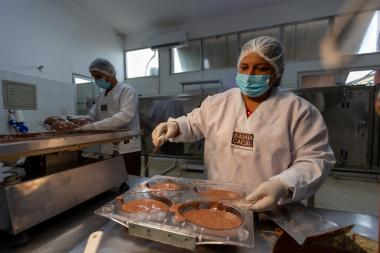 Bahia Cacau: pioneira no chocolate da agricultura familiar gera renda e transforma vidas no campo