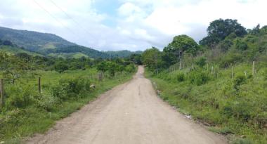 Governo da Bahia pavimentará mais de 125 km de rodovias estaduais | SECOM