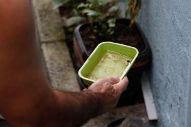 Bahia registra queda de 41% nos casos de dengue em 2026