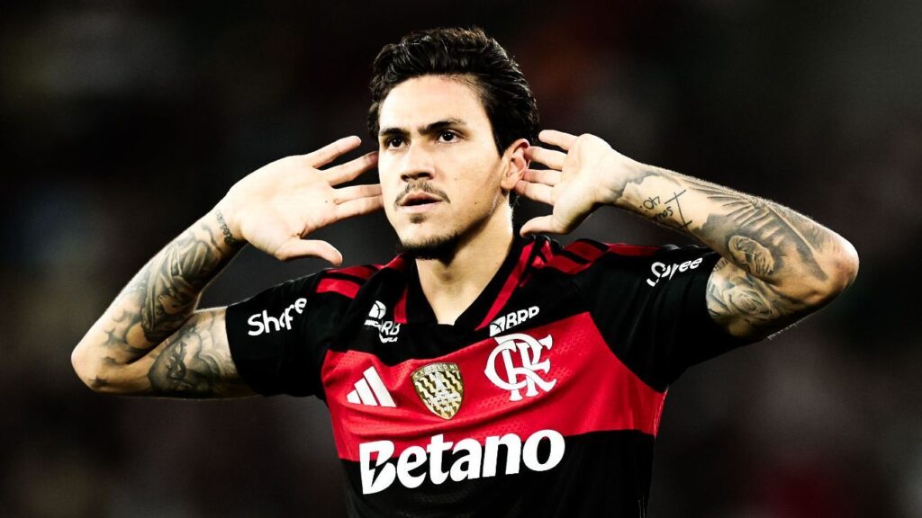 Copiar link