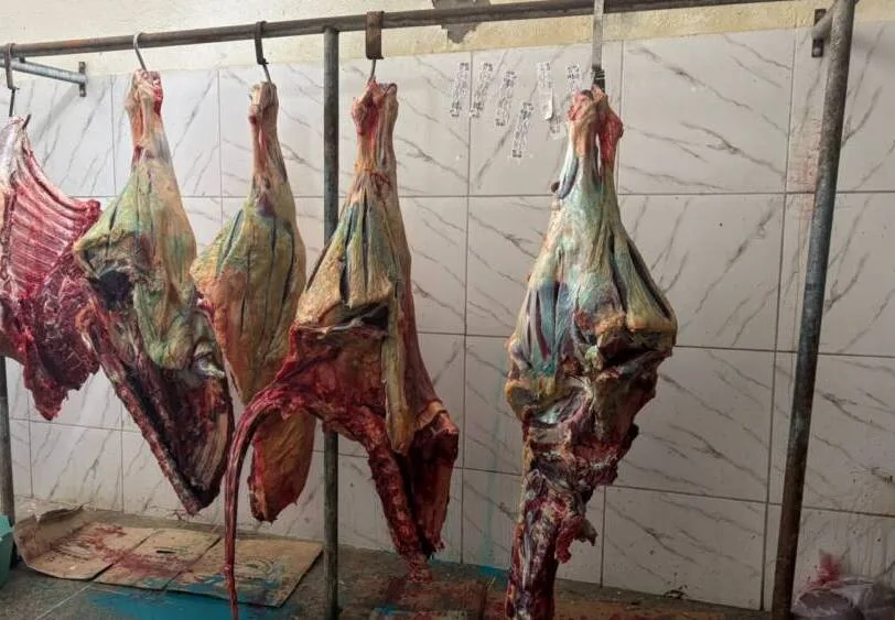 FORÇA-TAREFA APREENDE 800 QUILOS DE CARNE CLANDESTINA NO SUL DA BAHIA
